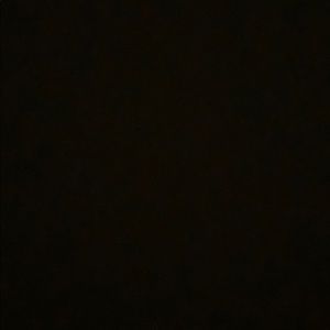 Meet your Posher, Bailey